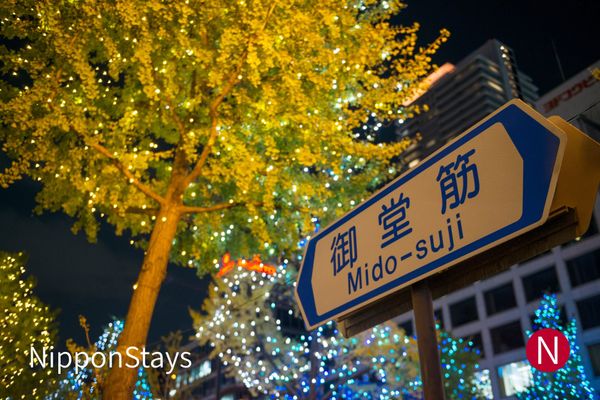 Illuminated street trees along Mido-suji in Osaka at night