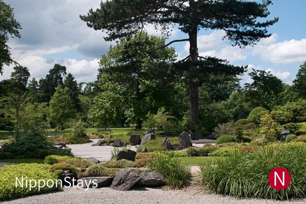 A Japanese garden with raked gravel and clipped pines