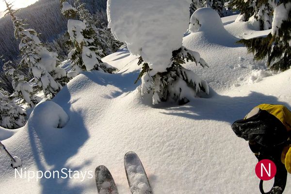 A first-person view of skis in deep untracked powder