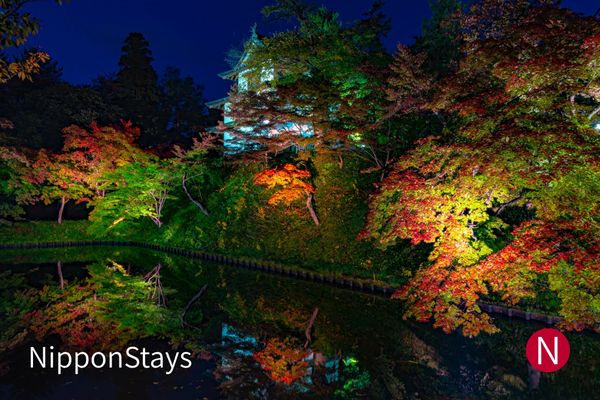 A castle turret lit at night above a moat, surrounded by illuminated maples