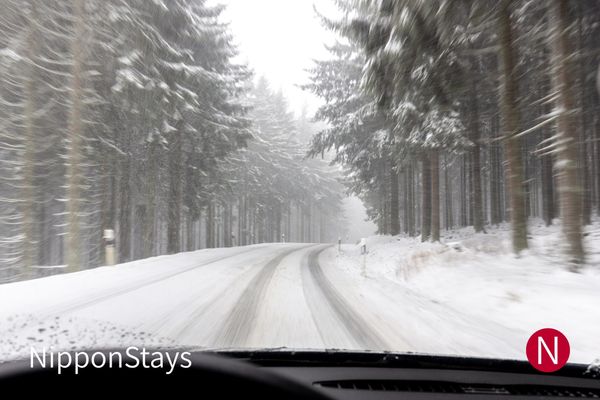 View through a windscreen of a snow-covered road running between winter trees