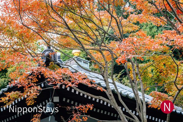 Orange maple branches over the tiled roof and bell of a temple hall