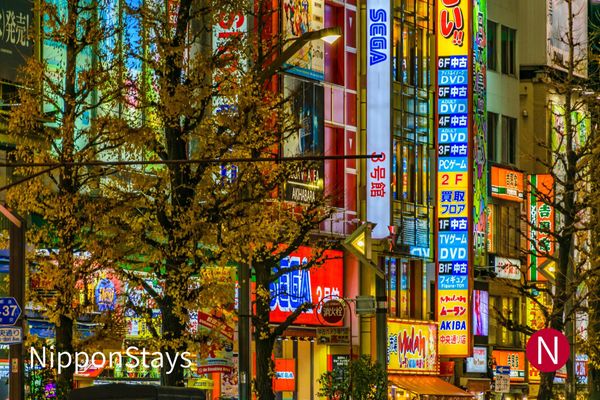 Akihabara signage at night with autumn leaves in the foreground