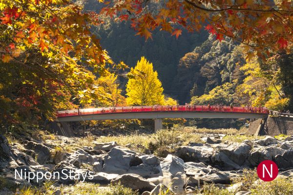 A red-railed bridge over a rocky river, below maples and a tall yellow ginkgo