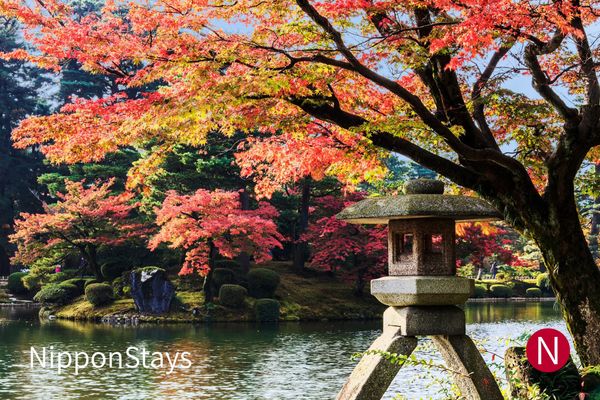 A stone lantern beside a garden pond under red maples