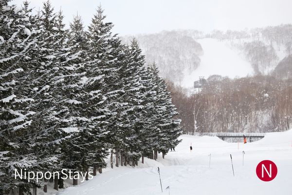 Snow-covered mountains in Hokkaido under a pale winter sky