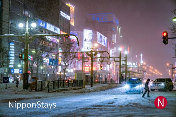 Downtown Sapporo street at night with snow banked along the roadway