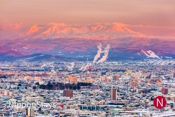Snow-covered Asahikawa at first light, with mountains beyond the city