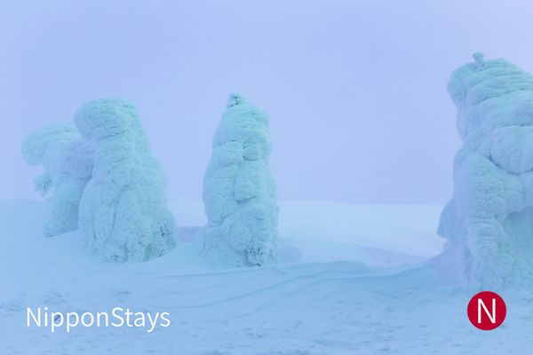 Snow-encased trees known as juhyo standing on the upper slopes at Zao