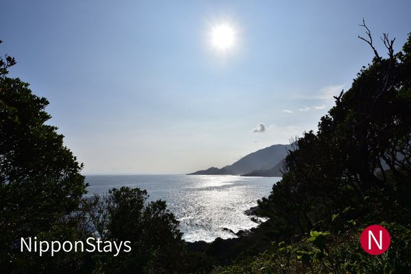 Sunlight on the sea off Yakushima, seen through coastal trees