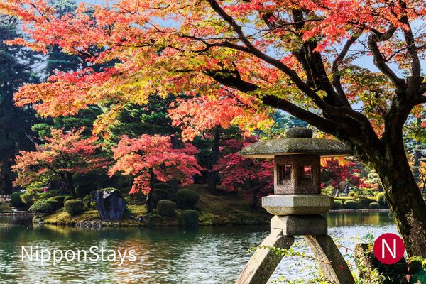 Autumn maples and a stone lantern beside the pond at Kenrokuen, Kanazawa