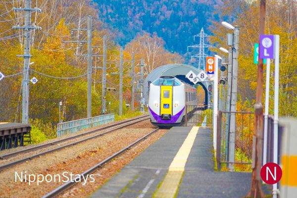 A limited express train arriving at a rural platform with autumn-coloured hills behind