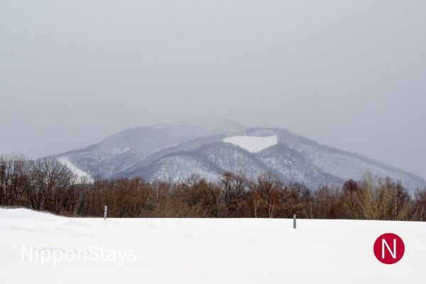 Montagne enneigée près de Sapporo, avec des pistes visibles sur le versant