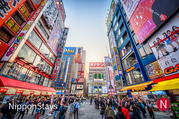 Crowds moving through Akihabara's colorful Electric Town district.