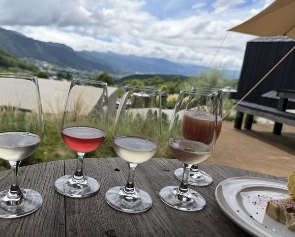 Five tasting glasses lined up on a weathered wooden table at 98WINEs, with the Yamanashi valley and mountains behind.