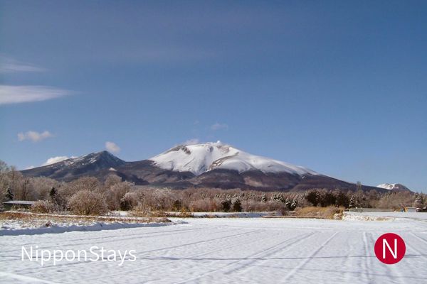 Snow-capped Mount Asama above snowy fields under a blue sky, seen from the Karuizawa side