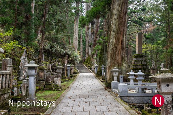 Stone lanterns and moss-covered memorials along the cedar-lined path at Okunoin, Koyasan
