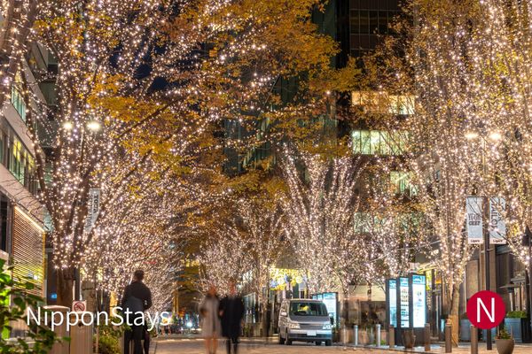Tokyo With Kids Over New Year What's Open: Where to Stay