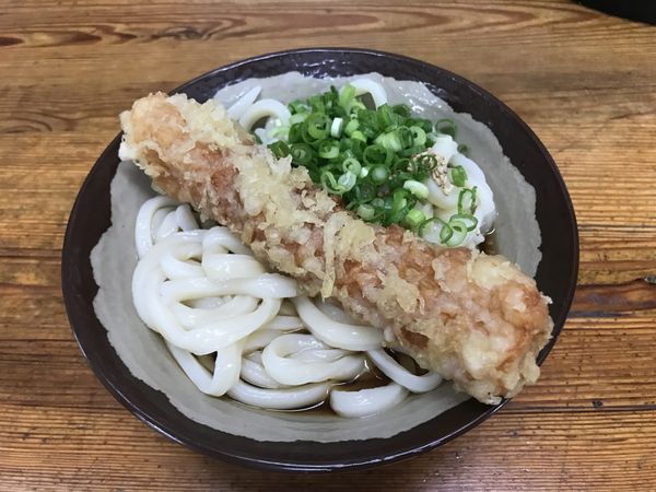 A bowl of Sanuki udon topped with a chikuwa tempura and chopped spring onion in Takamatsu