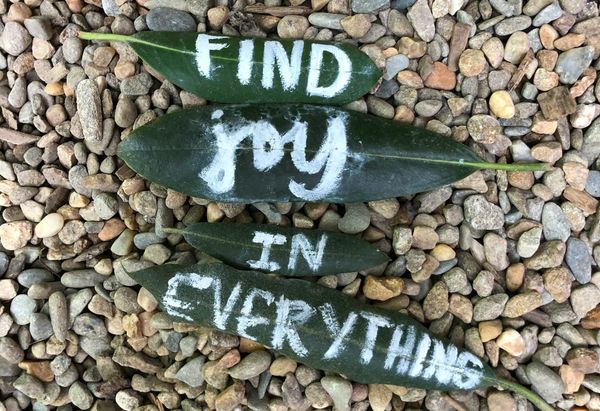 Phil Januszewski Shares Earned Wisdom: Resilience, Sharing Your Gifts, and Real Joy