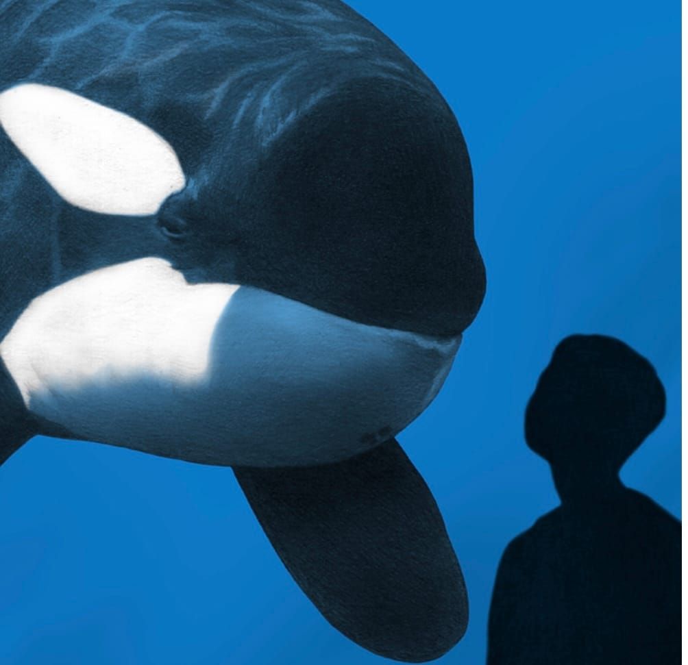 The Black and White Edition