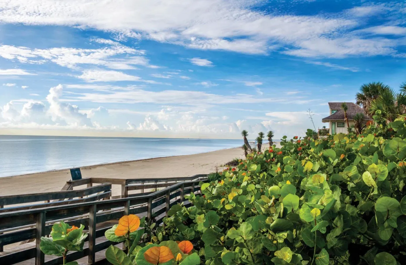 Restoring Paradise