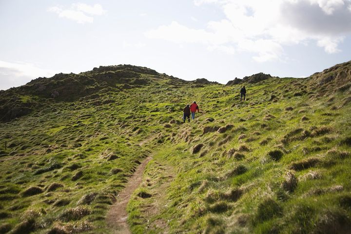 Pfizer expansion upwards of €1.2B in Ireland