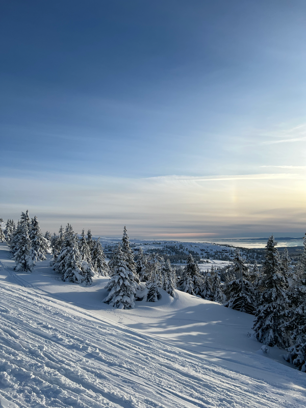 Things I have been eyeing and things I bought in January