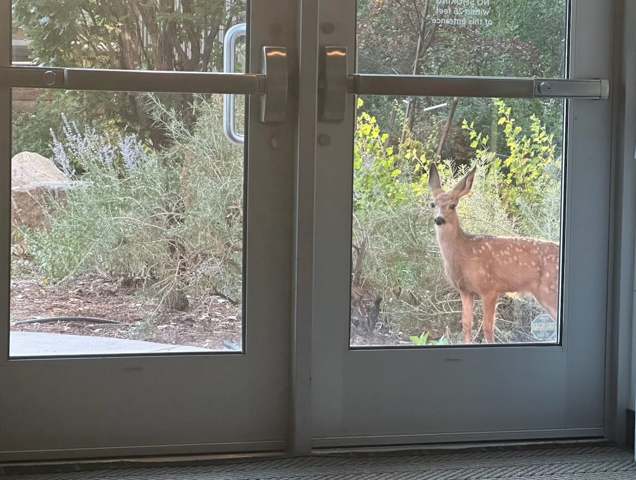 AI Pic of the Year: This is why we live and work in Colorado