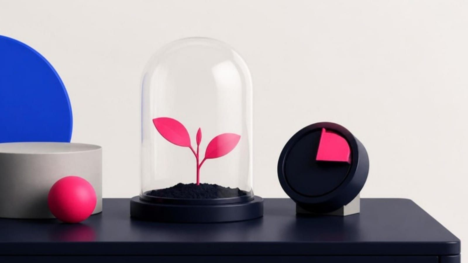 A pink sprout under a glass bell jar on a navy desk, next to a small timer.