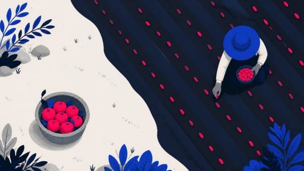 A field seen from above: a basket of ripe pink fruit on one side, a farmer planting rows of pink seeds on the other.