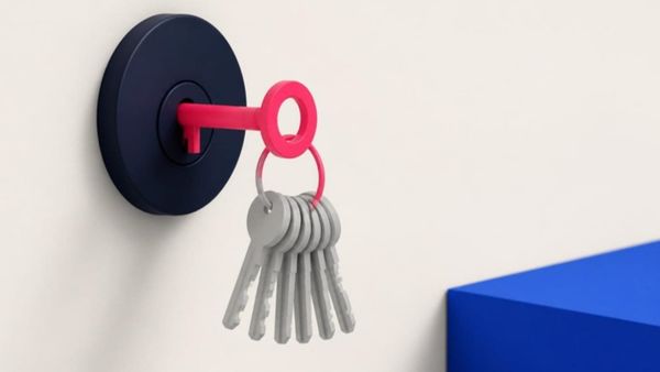 A pink key turned in a navy lock, with a ring of near-identical grey keys hanging from it.