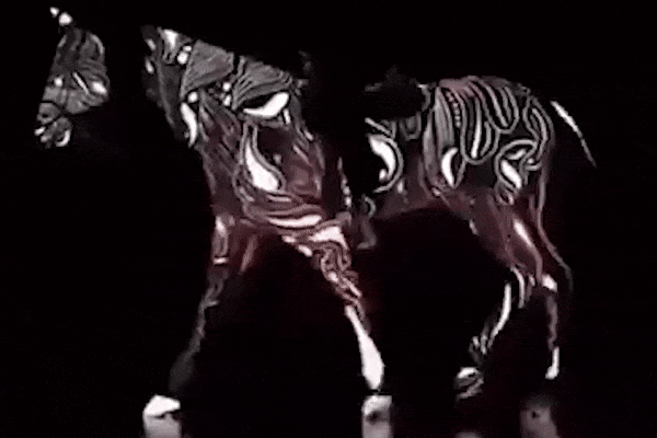 This horse has a name and its name is…