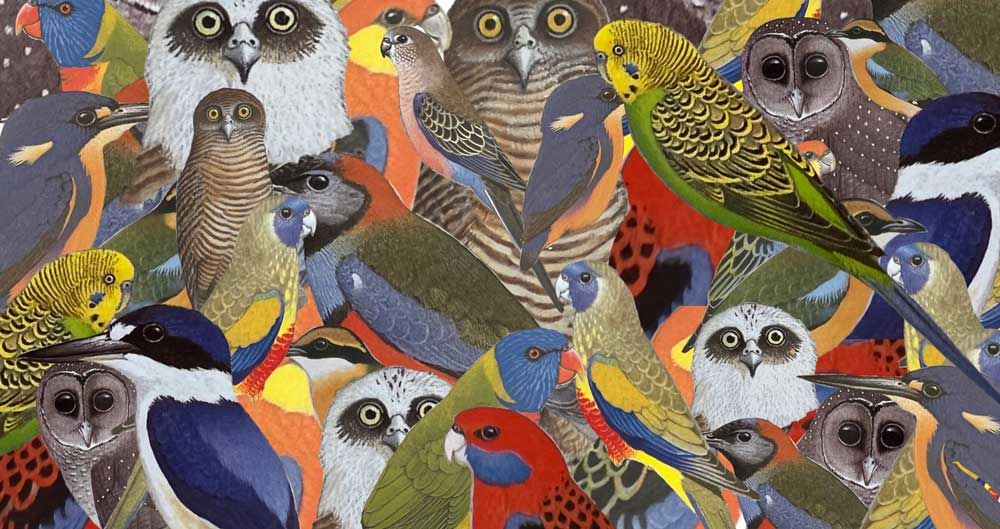 The bird who must be aubade