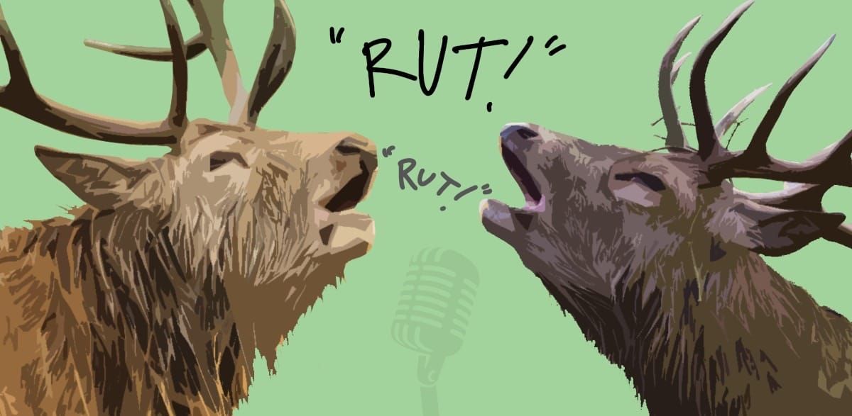 Stuck in a Rut?
