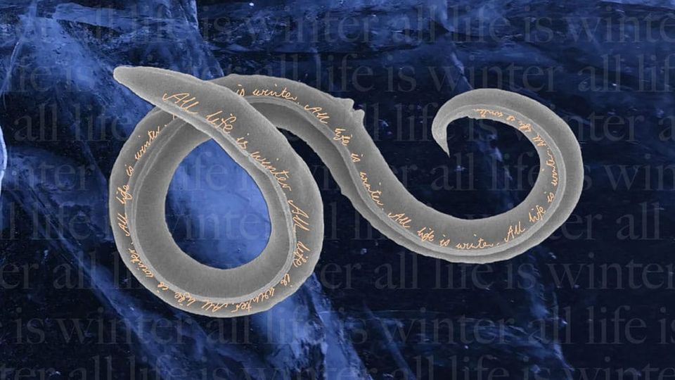 We are Simple Worms, Yearning to Melt our Permafrost