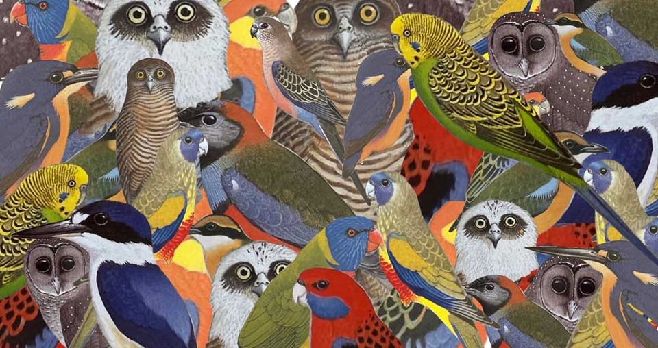 The bird who must be aubade