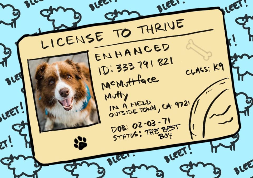 Ejection Does Not Equal Rejection