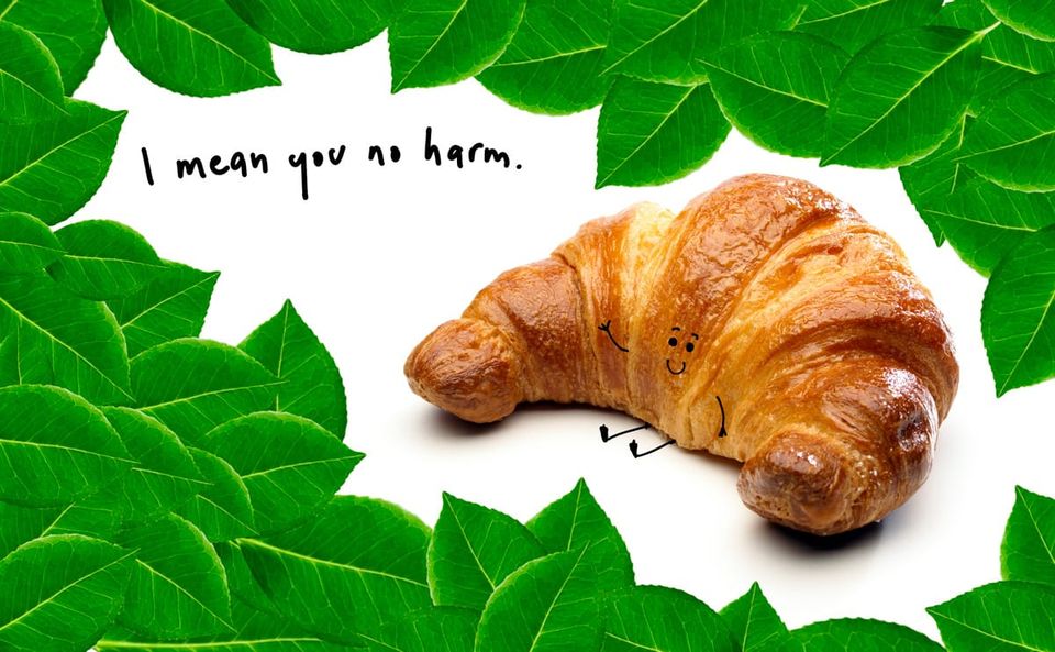 A Layperson’s Guide to Fighting Tree Beasts