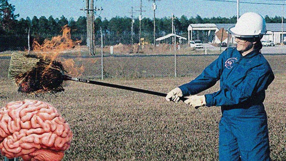 The Broomsquire’s Compendium of Mind and Body Besoms