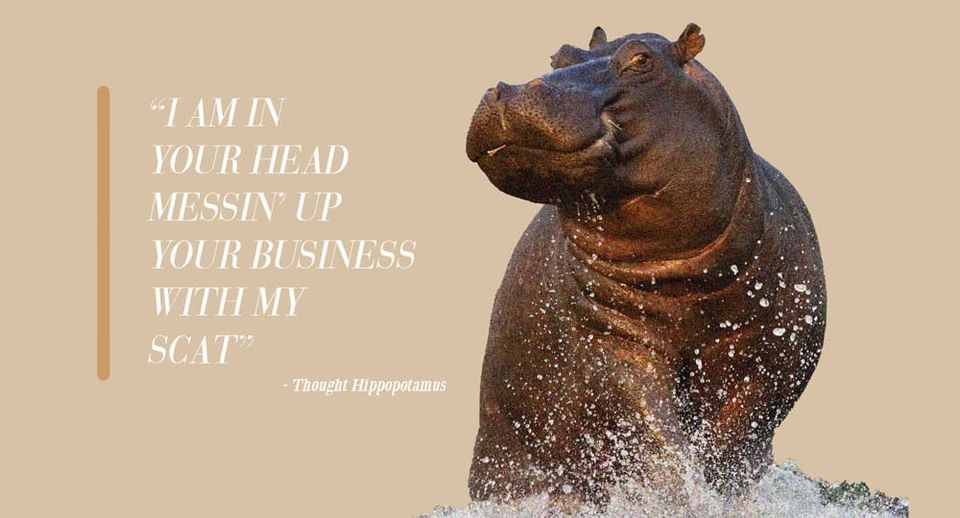 How to sterilize a Thought Hippopotamus