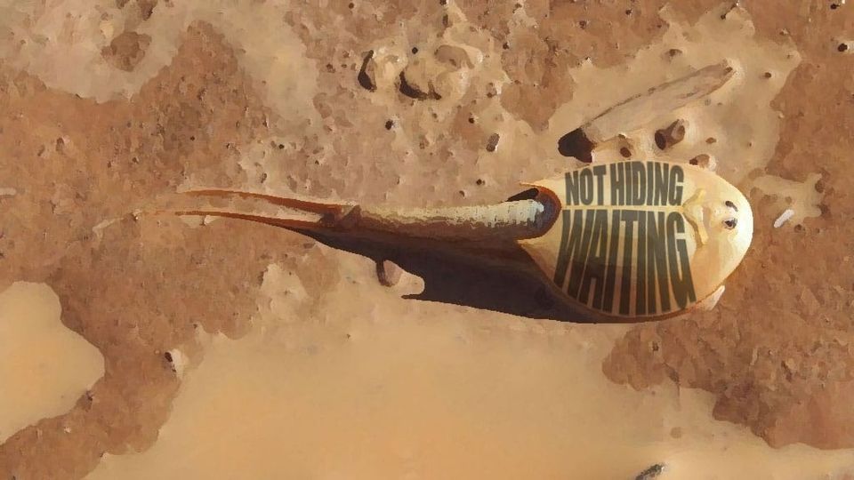 Don’t bury your creativity underground