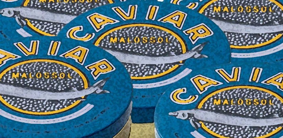 What does opportunity look like?