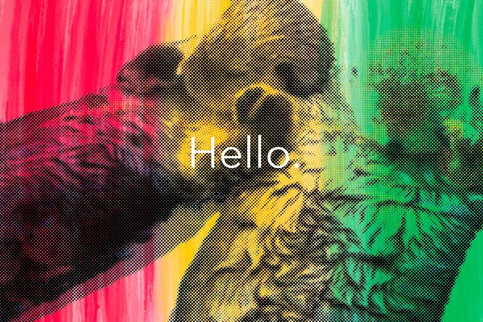 "Hello, I'm the sea otter who stole your surfboard"