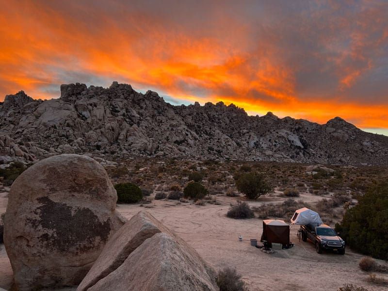 The Secret Society of Slug Wranglers