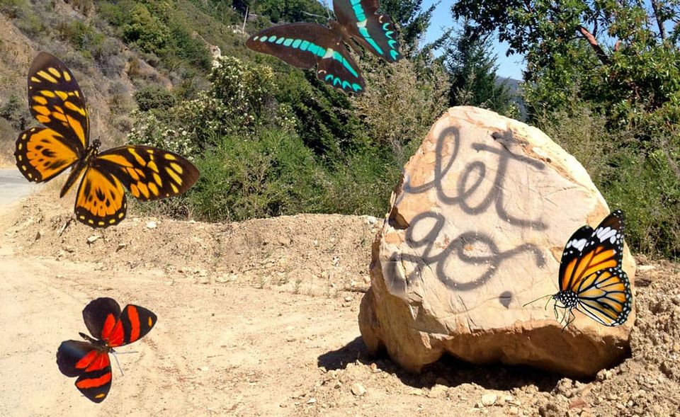 How to utter bye to your butterfly