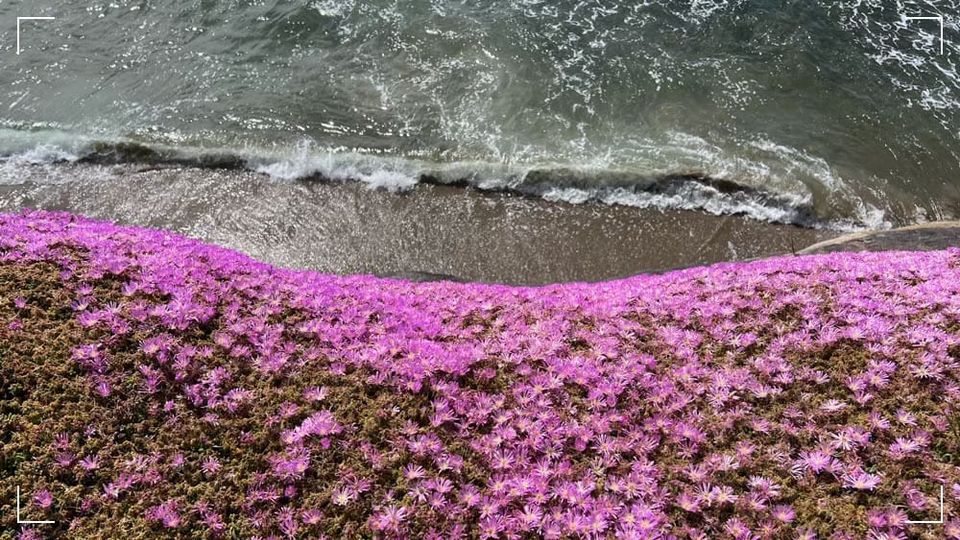 Bitching in a forward direction