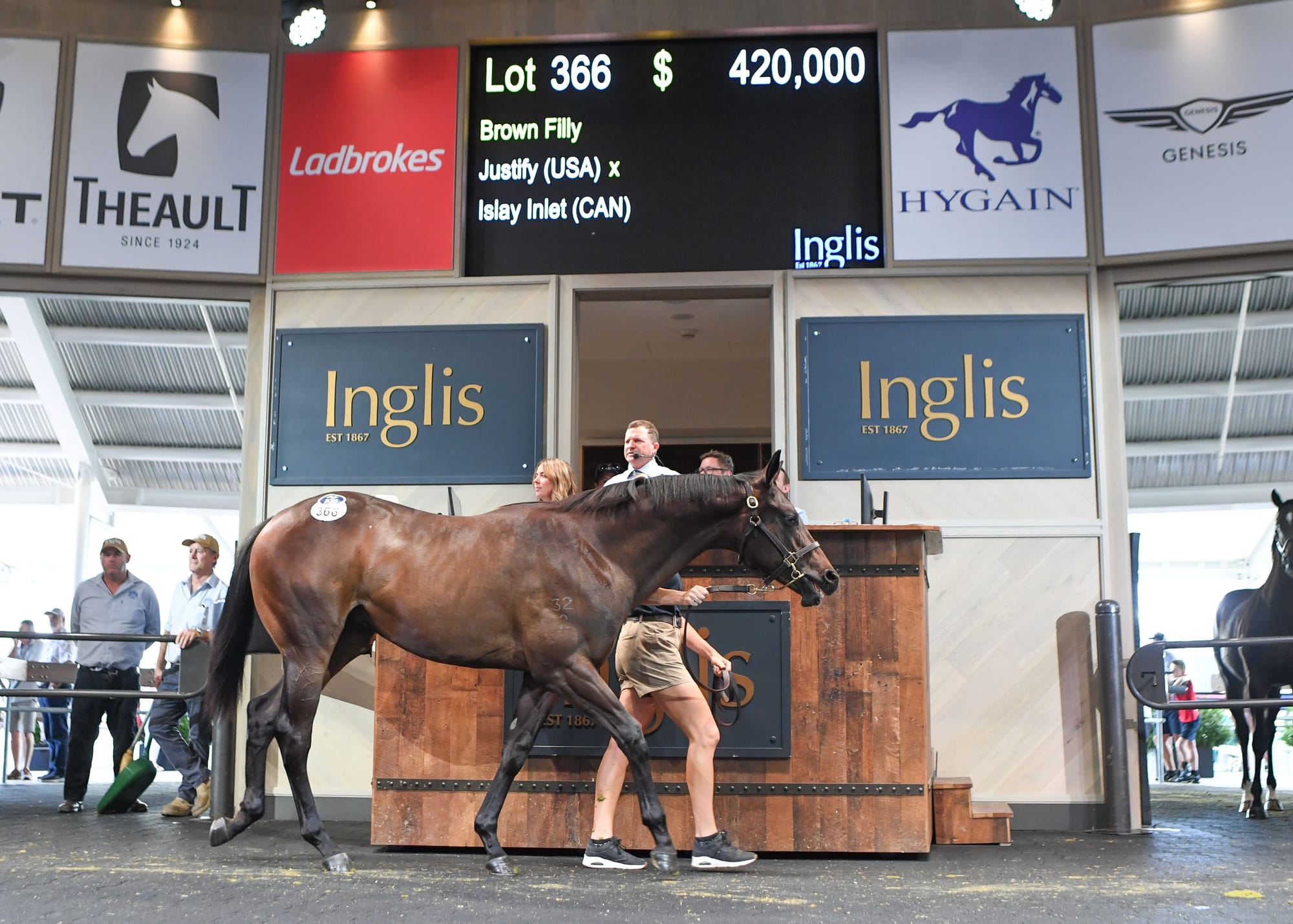 Lot 366