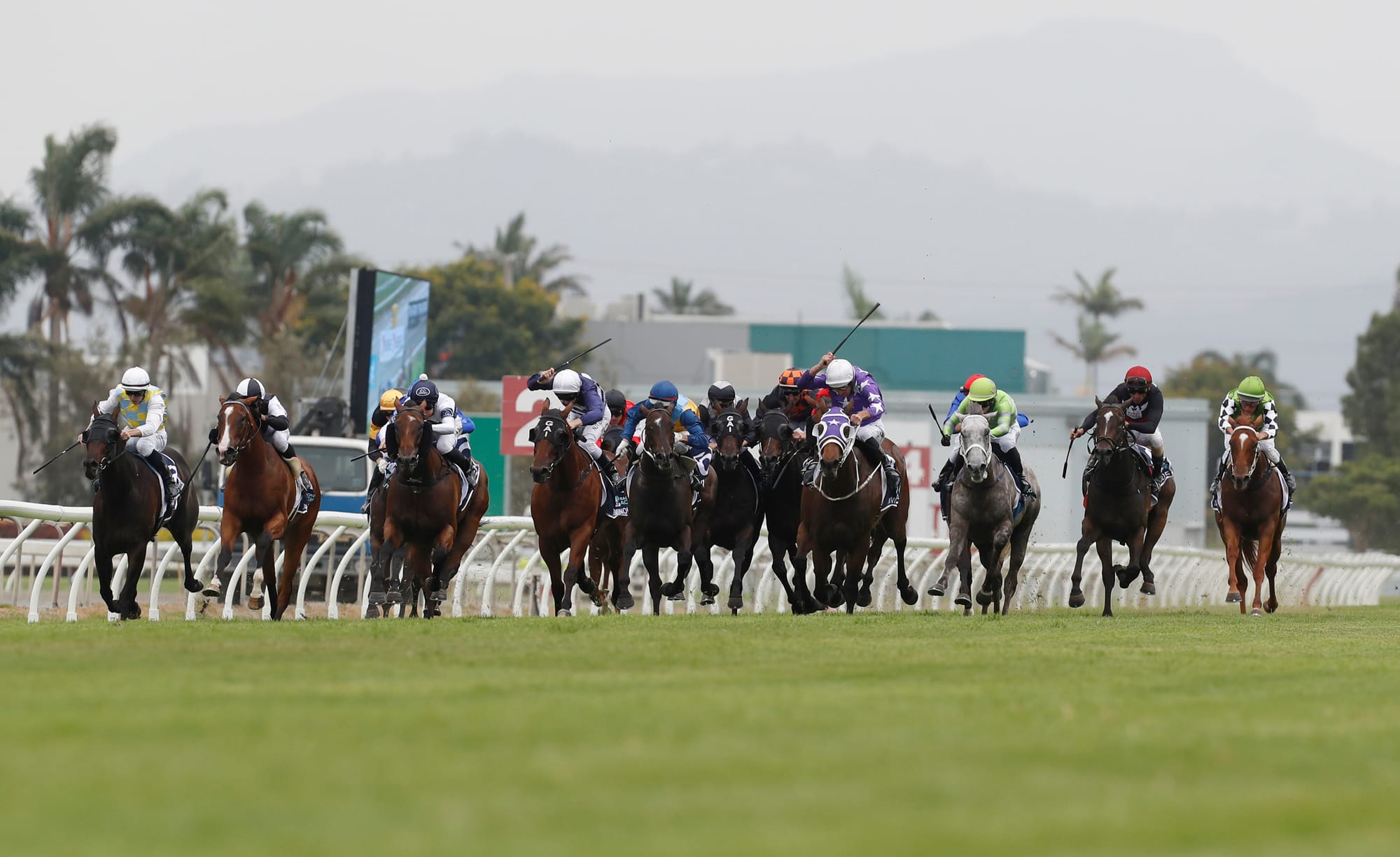 Gold Coast turf track