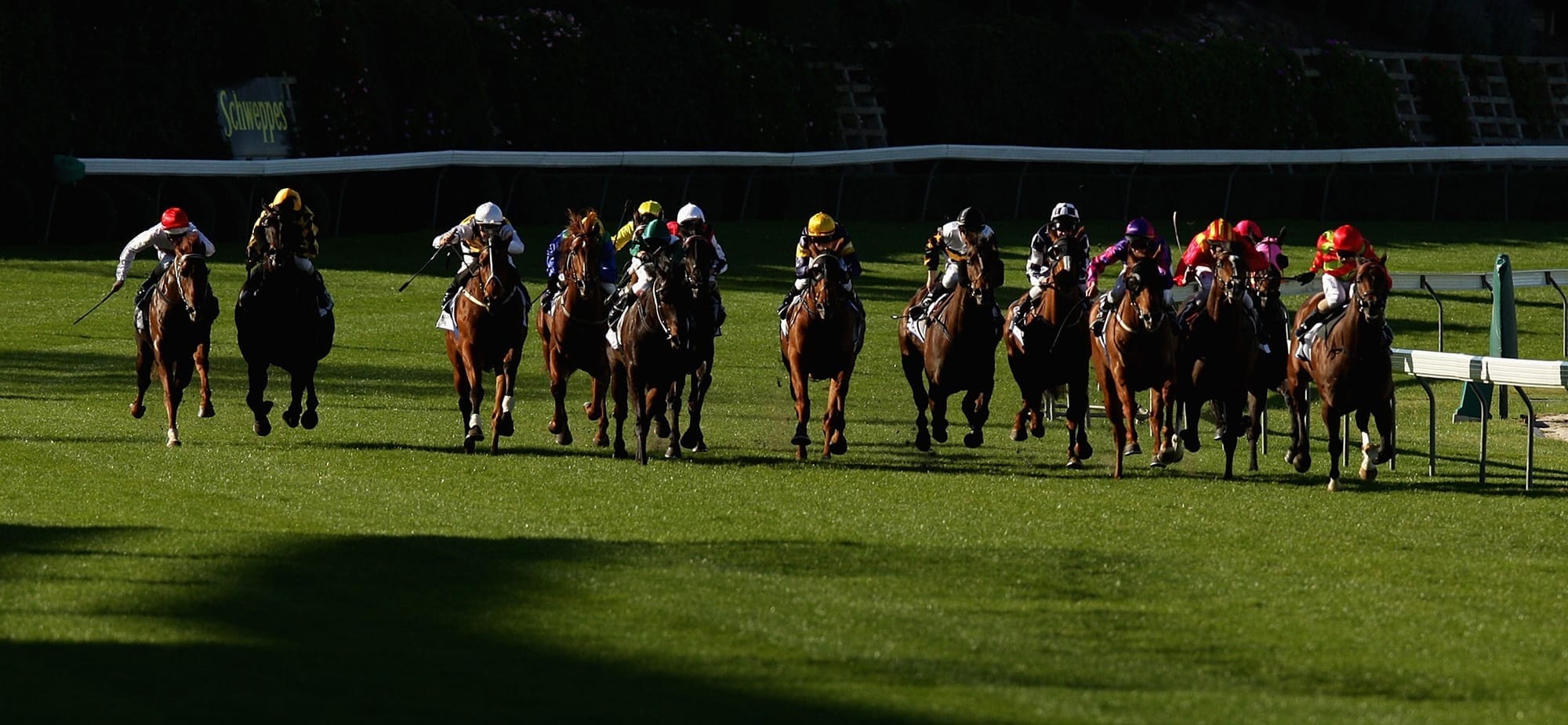 Manikato Stakes